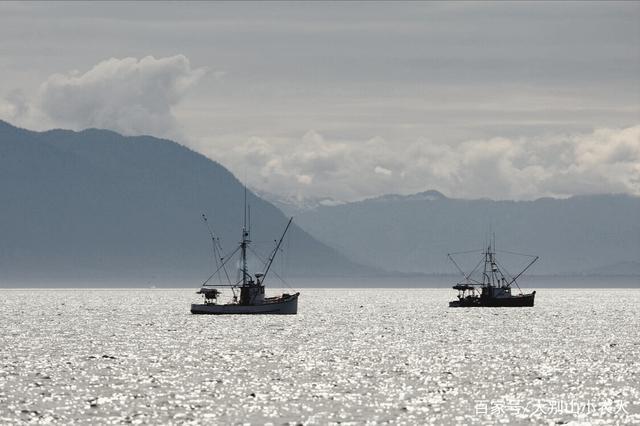 台湾,上海和香港等地设立渔业基地和公司,以便渔业捕捞和倾销贸易给