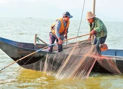 今年滇池开湖2次 昆明人国庆、中秋双节前可吃滇池鱼|滇池|草海|核桃_新浪新闻