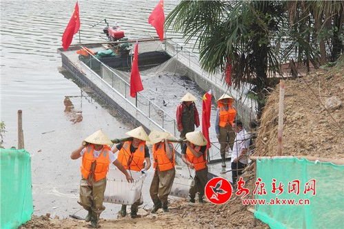 安康市举行多彩活动庆祝第四个中国农民丰收节