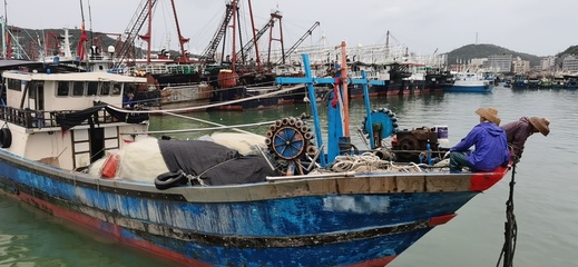 广东阳江查扣58艘涉嫌非法捕捞的外省籍渔船